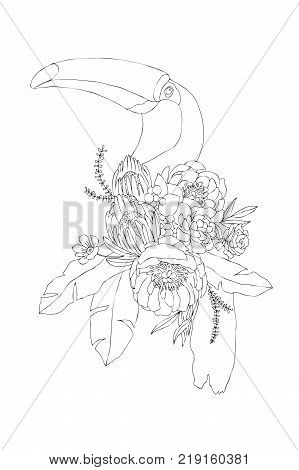 Hand drawing bouquet with tropical bird, palm leaves, peony and tukan. High detailed illustration. Engraving style
