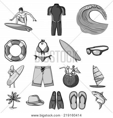 Surfing and extreme monochrome icons in set collection for design. Surfer and accessories vector symbol stock  illustration.