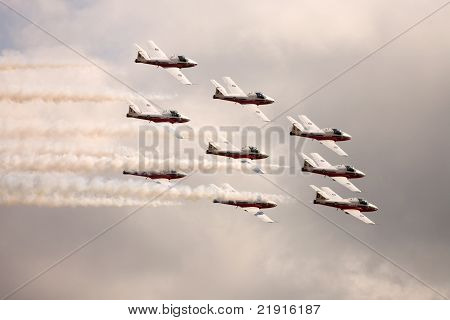 The Snowbirds