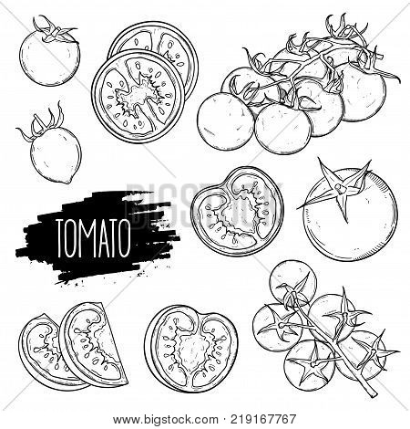 Hand drawn tomato set. Tomatoes slices halves cherry tomatoes and bunch isolated on white background. Outline ink slyle sketch. Vector coloring illustration.