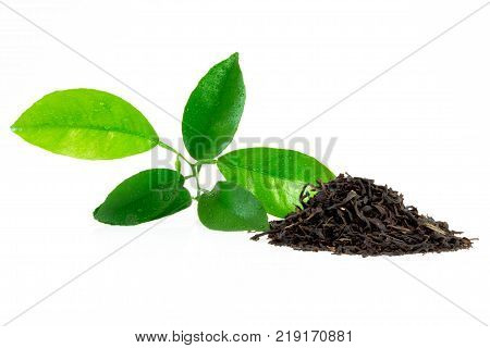 Citrus Leaves With Drops Isolated On A White Background. Collection. Full Depth Of Field.