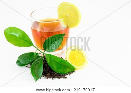 Citrus Leaves With Drops Isolated On A White Background. Collection. Full Depth Of Field.
