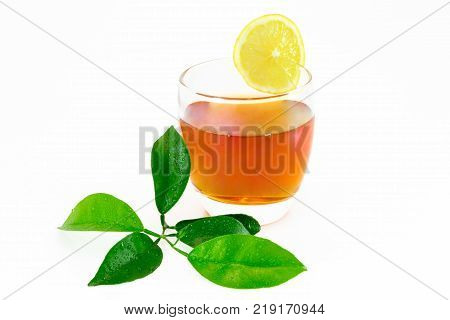 Citrus Leaves With Drops Isolated On A White Background. Collection. Full Depth Of Field.