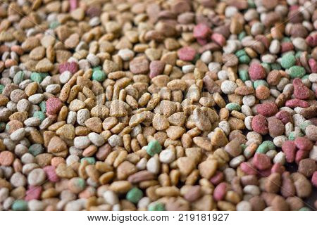 Dry pet food background - a lot of pieces of food in flat position.