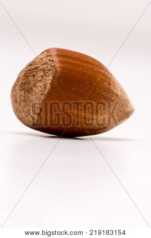 Macro shoot of unpealed hazelnut on white backgound