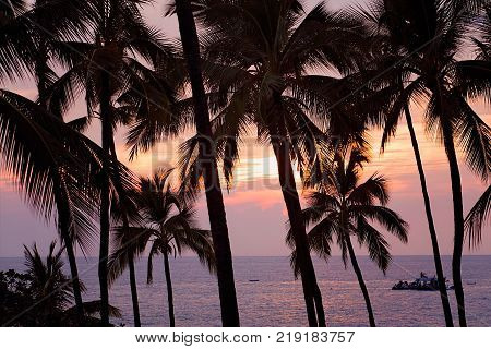 View of Palm Trees, Ocean, and Boat, from Kona Bay, Hawaii at Sunset