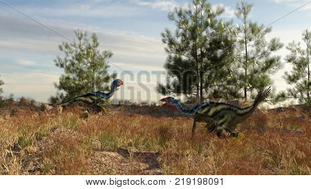 3d rendering of the walking caudipteryx dinosaur