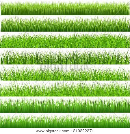 Collection Green Grass There are many form isolated on white background Vector Illustration