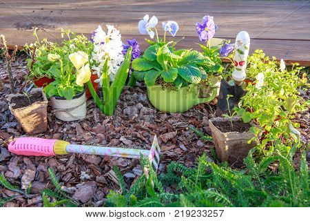 Outdoor gardening tools and spring flowers on a bed