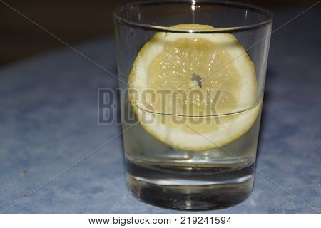 A glass with a slice of lemon and some ice cubes.  The lemon (or yellow lemon) is a citrus fruit, a fruit of the lemon tree, the juice of which has a pH of 2,5. The lemon tree (Citrus silt) is a shrub of 5 10 meters away from high, evergreen, of the famil