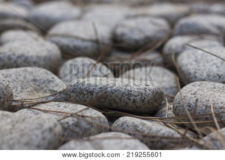 Pile of pebbles on ground with pine needles