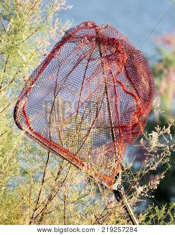 Satch for fishing on a plant near the river .