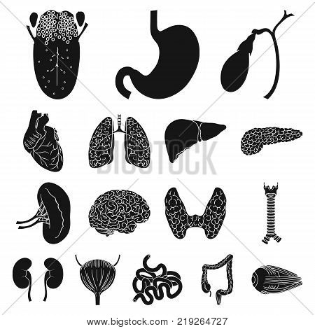 Human organs black icons in set collection for design. Anatomy and internal organs vector symbol stock  illustration.