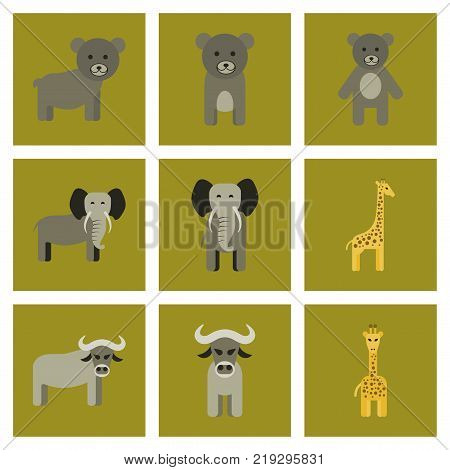 assembly of flat icons nature giraffe bull bear elephant