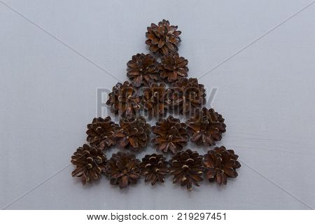 Christmas fir tree with snow on rustic wooden board with copy space
