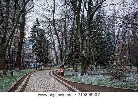 Alley in Mariinskiy park with frosted grass