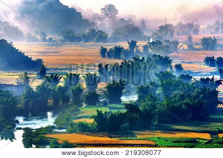 Rice And Rice Field In Trung Khanh, Cao Bang, Vietnam. Landscape Of Area Trung Khanh, Cao Bang, Viet