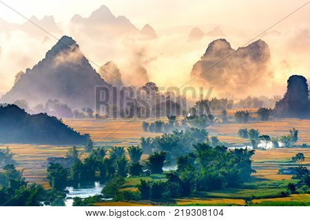 Rice And Rice Field In Trung Khanh, Cao Bang, Vietnam. Landscape Of Area Trung Khanh, Cao Bang, Viet