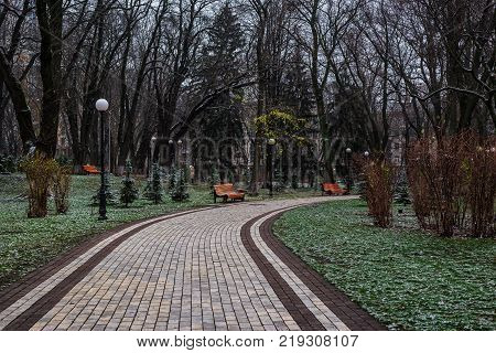 Alley in Mariinskiy park with behchs and frosted grass