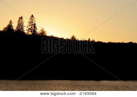 Algonquin Treeline