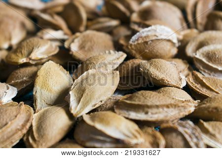 Many apricot kernels. Apricot bones lie on the table