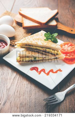 Indian Bread omelette / omlet / omlete sandwich served with tomato ketchup