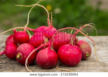Heap of radish on wooden table outdoor