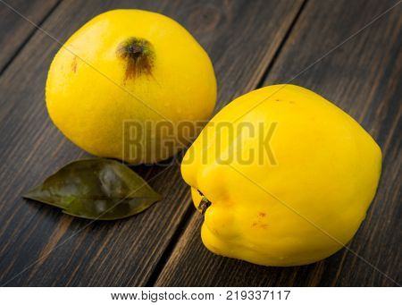 Ripe solid quince or queen apple autumn fruits on dark rustic wooden background close-up