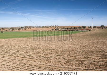 Agricultural mosaic landscape in Toledo Province, Spain