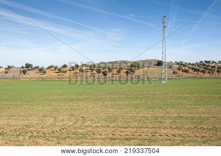 Agricultural mosaic landscape in Toledo Province, Spain
