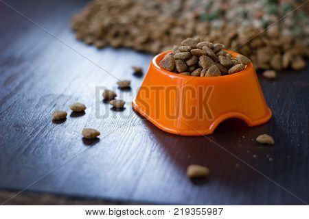 Dry cat or dog food in a orange bowl