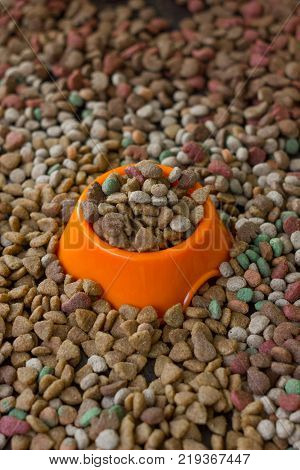 Orange plastic bowl filled with dry pet food surrounded by dry food for cat and dogs