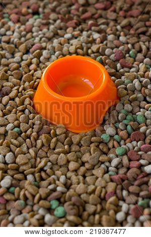 Empty plastic bowl surrounded by dry pet food