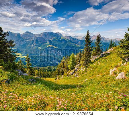 View from top of cableway above the Konigsee lake on Schneibstein mountain ridge. Colorful summer morning on a border of Germany and Austrian Alps. Berchtesgaden location Bavaria Germany Europe.