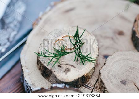 Wedding golden rings on wood cut. atwork, copy space Close-up