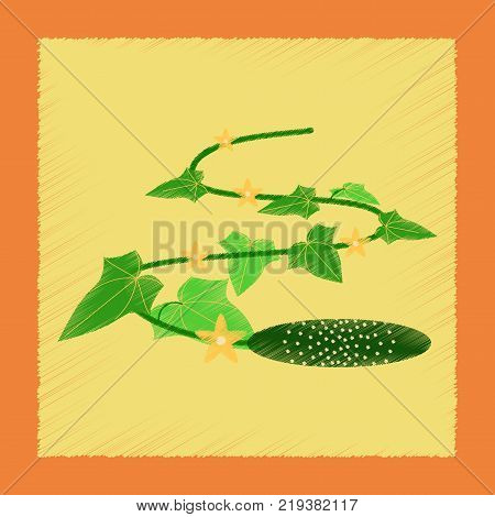 flat shading style Illustrations of plant Cucumis