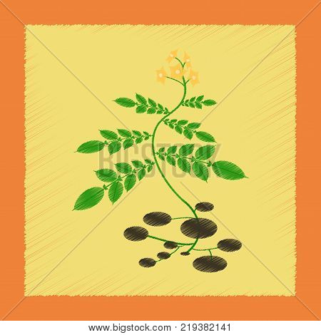 flat shading style Illustrations of plant Solanum