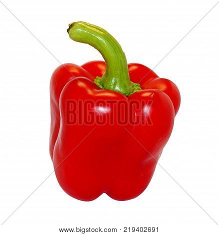 One bright red raw washed with green tail bulgarian pepper isolated on white background