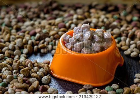 Wet canned pet food in a bowl surrounded by dry food
