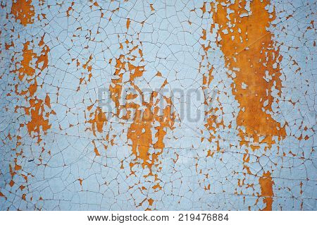 Wooden wall with blue paint is severely weathered and peeling. close up