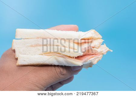bitten on a piece of ham sandwich