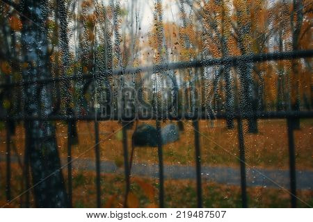 Autumn street on a rainy day view through wet glass