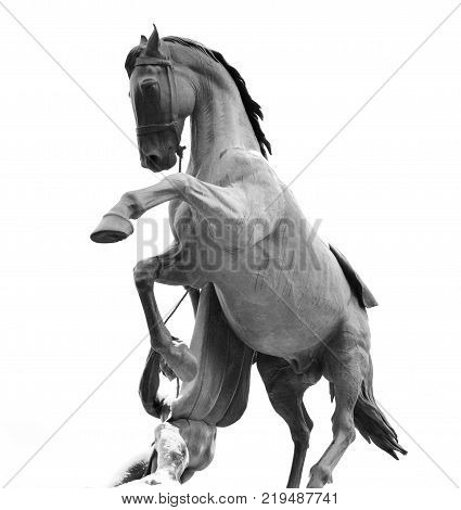 Statue of the conquest of a horse on the Anichkov Bridge in St.Petersburg Russia. Black and white.