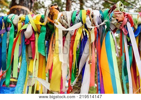 Colored Ribbons To The Holy Tree. Zalaal. Near Source Of Mineral Water. Arshan. Russia