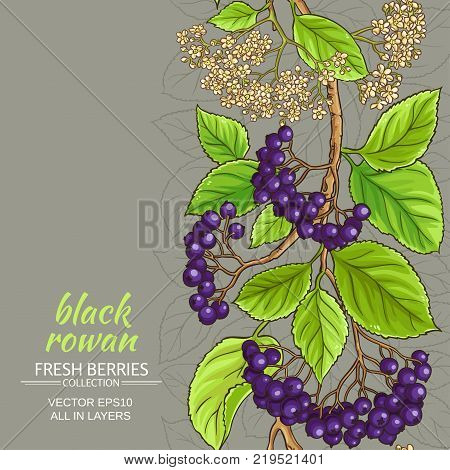 black rowan vector pattern on color background