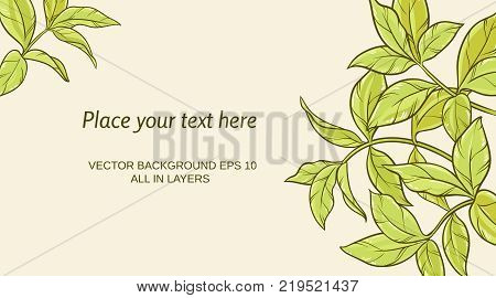 black rowan vector pattern on color background