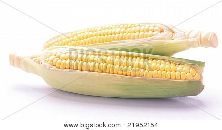 sweet corns