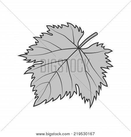 Grape leaf vector gray simple symbol or illustration