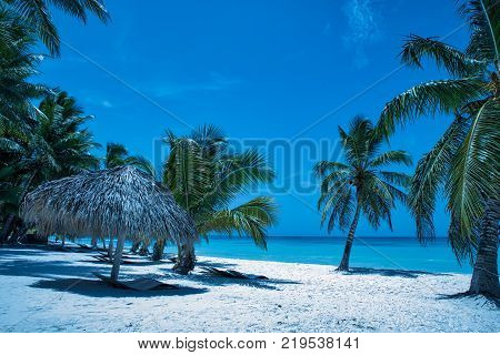 Travel photography - tropical beach with white sand and palms in a caribbean island (Saona island, Dominican Republic).