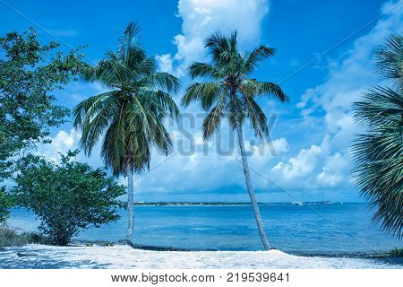 Travel photography - tropical seascape with white sand and palms in Bavaro beach (Punta Cana, Dominican Republic).